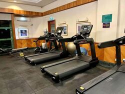 Simsville (D14), Condominium #495883141